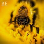 139545603_860114687896746_855839221295233193_n