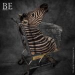 139581361_404606274128912_6777198007556019619_n