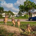 139830096_246569850196660_5057096416593055227_n