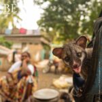 140025655_439831407146547_8167712865434036509_n