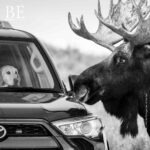 140370871_861966154636930_1257636370992154345_n