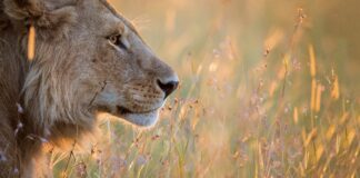 Kickstart the Year Reconnecting to Our Planet!