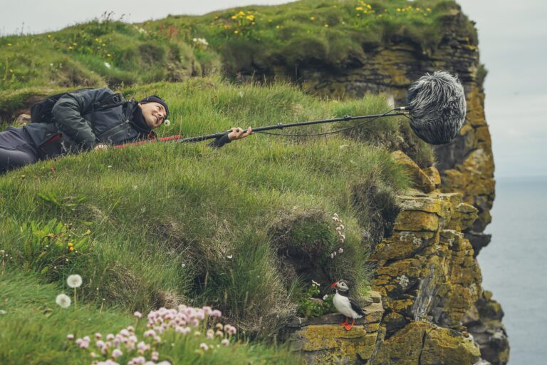 Capturing Sounds of Nature