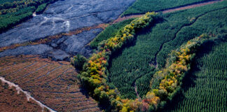 Interactive Stories: Creating Space for Confronting Issues