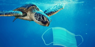 Engineering Soltuions to Medical Waste