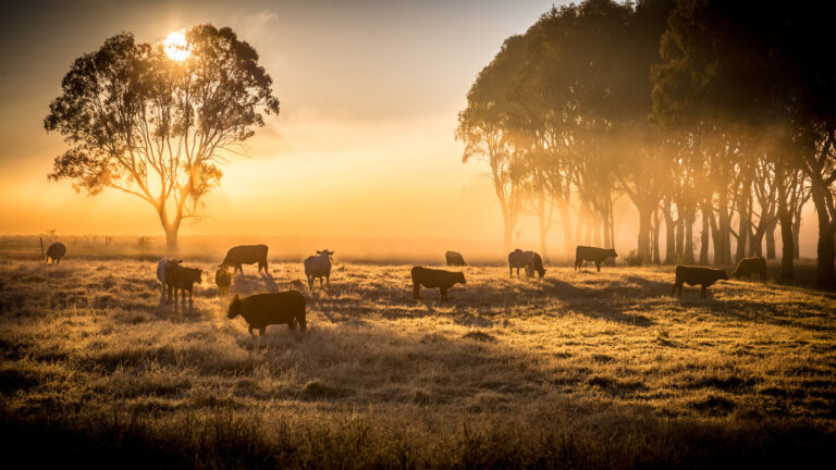 Eating for Health and Nature