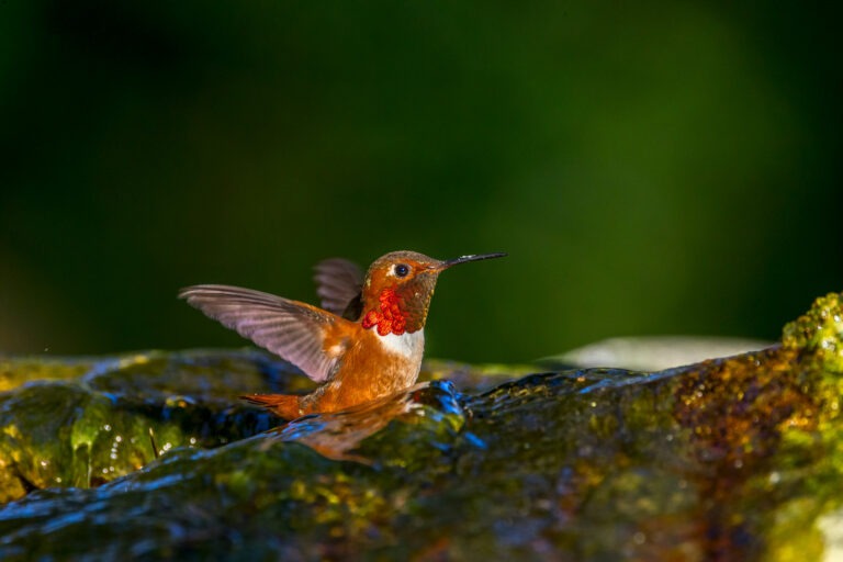 Movement the Secret Ingredient to Creativity
