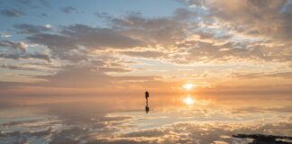 The Accessory Every Photographer Needs