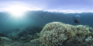 How climate change is reshaping work