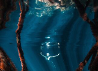 The Science of Calm: Lessons, Practices, and Applications from Biathletes, Photographers, and Freedivers