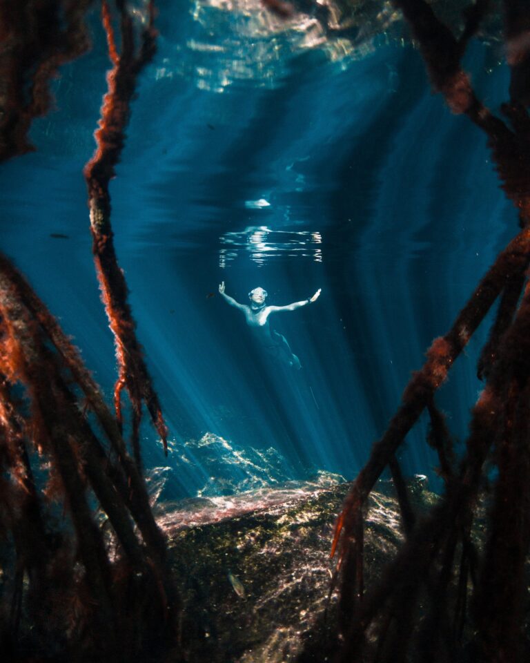 The Science of Calm: Lessons, Practices, and Applications from Biathletes, Photographers, and Freedivers