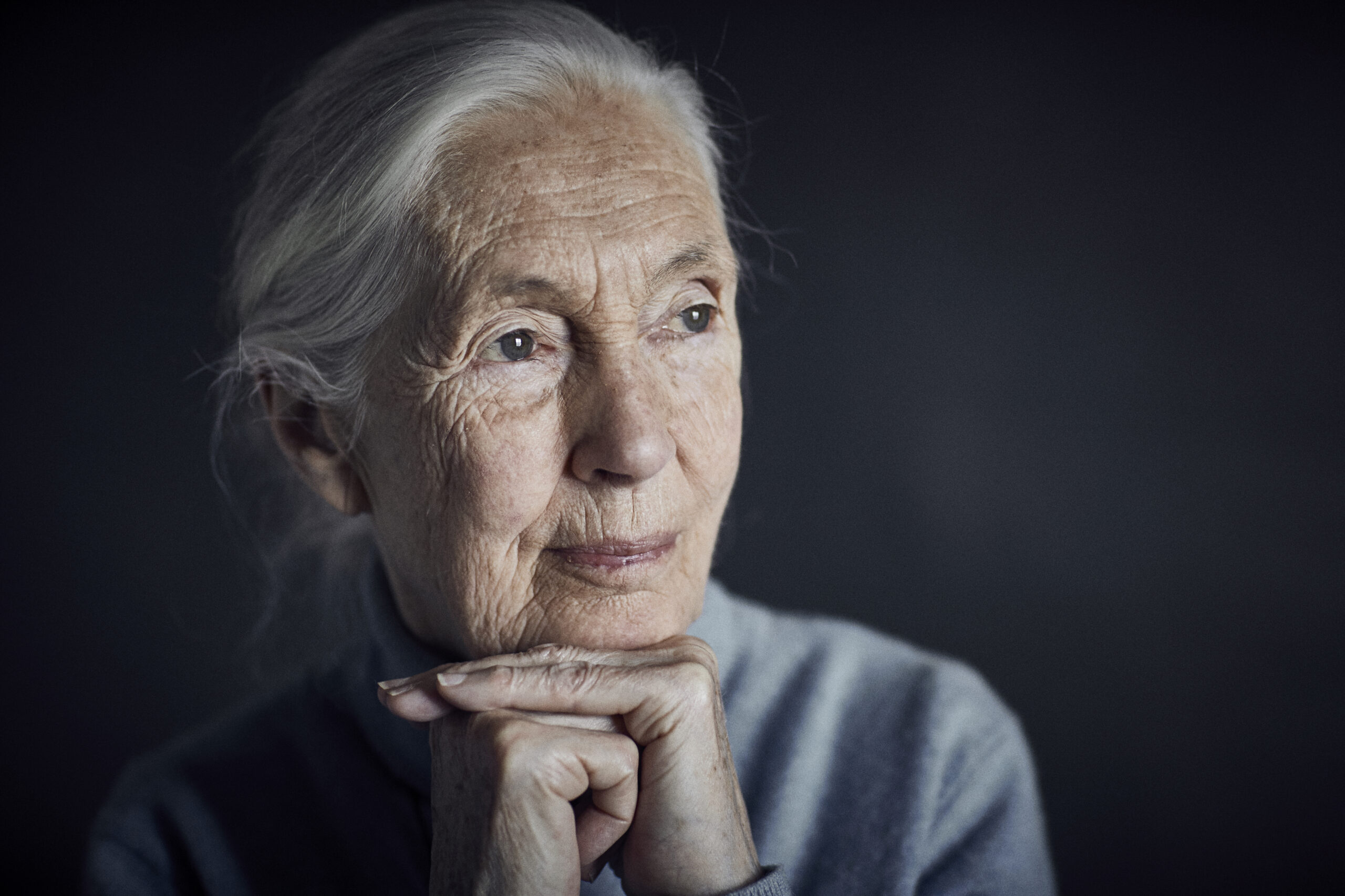 Jane Goodall Portrait © Tony Burrows ? Jane Goodall Institute