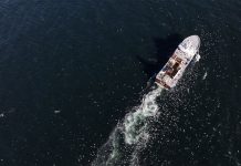 Industrial Trawlers Devastate 90,000 km² of B.C. Coastline: Pacific Wild Investigation Reveals Ecological Crisis