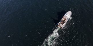 Industrial Trawlers Devastate 90,000 km² of B.C. Coastline: Pacific Wild Investigation Reveals Ecological Crisis