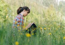 How Creatives Like Jimmy Chin Capture the Wild